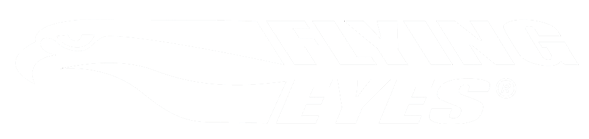 Flying Eyes